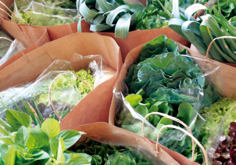 Em São Paulo, dobra o número de empresas que entregam orgânicos em casa