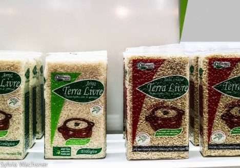 MDS e Conab lançam chamada pública para compra de arroz orgânico