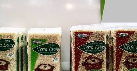 Conferência Internacional de arroz orgânico será realizada no Brasil em 2018