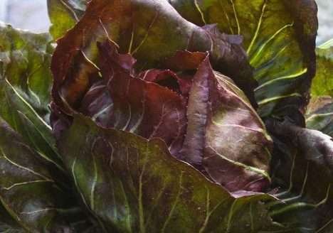 Vendas crescem e preços tendem a cair