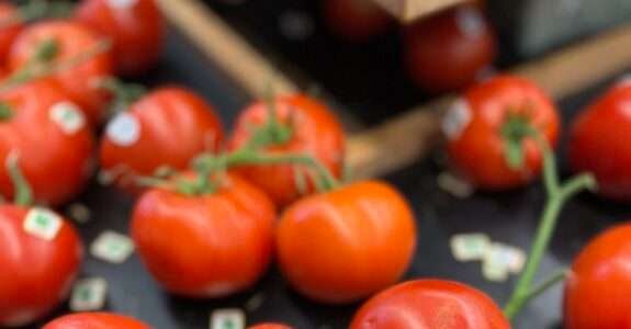 São Paulo: Plano Estadual de Agroecologia e Produção Orgânica.