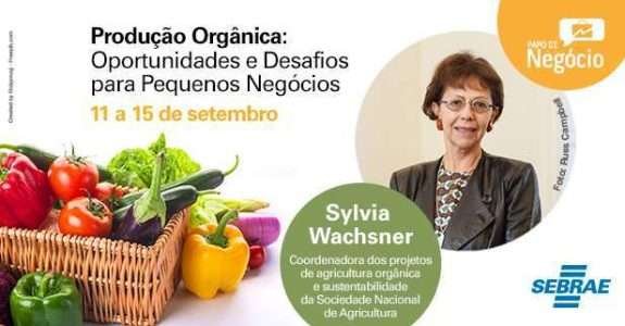Comércio de alimentos saudáveis tem alta de 98% em 5 anos e supera demanda no mercado tradicional