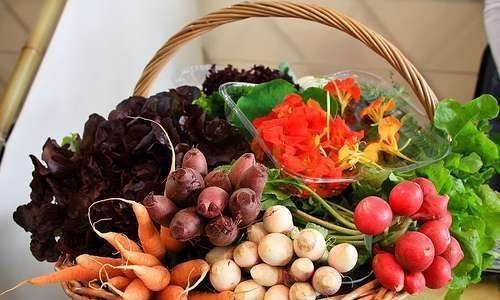 Oferta de orgânicos produzidos no país falha em suprir demanda, apesar do mercado