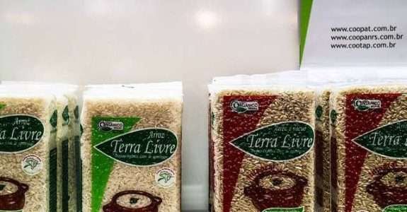 Não podemos ter apenas uma visão econômica, temos que ter também responsabilidade social e ambiental”