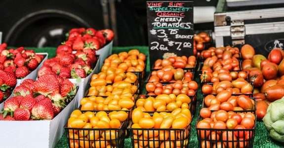 Jovens trocam o escritório pelo campo nos EUA