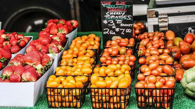 Feira de produtores org&acirc;nicos na Calif&oacute;rnia (Fevereiro, 2017). Foto: Sylvia Wachsner