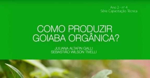 Como produzir goiaba orgânica?