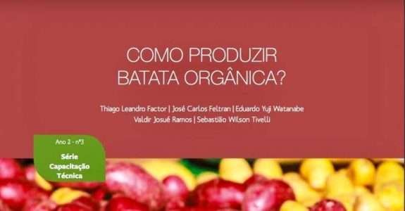 Como produzir batata orgânica?