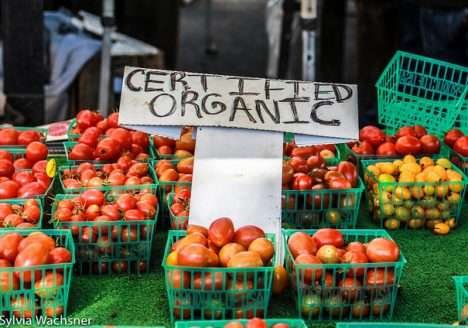 Orgânicos: pequenas sementes que produzem grandes resultados