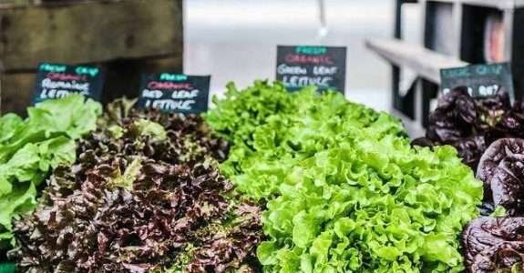 Projeto pioneiro rastreará a origem de vegetais orgânicos