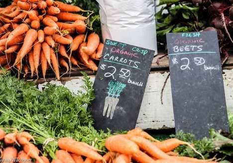 UE discute novo marco regulatório de orgânicos