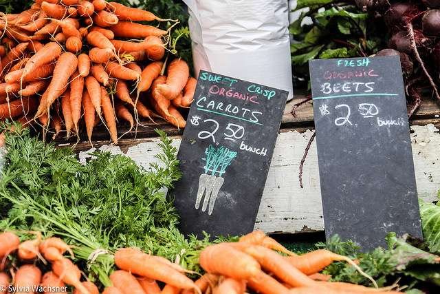 Foto: Sylvia Wachsner