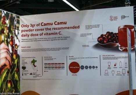 Sebrae Multiplica debate as tendências e os desafios para as exportações de alimentos orgânicos e sustentáveis