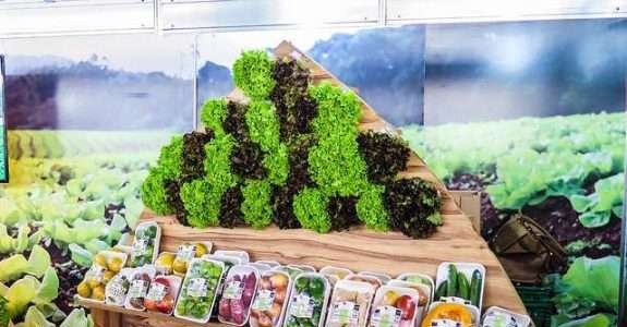 Mercado de orgânicos deve movimentar mais de R$ 7 bilhões em 2024