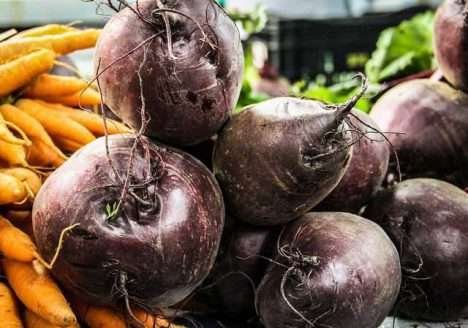 Mato Grosso do Sul soma 11 feiras com produtos orgânicos