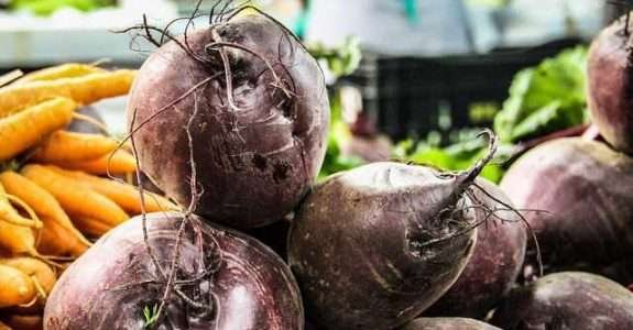 Um quintal de possibilidades