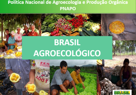 PNAPO é finalista do Future Policy Award – Prêmio de Políticas para o Futuro