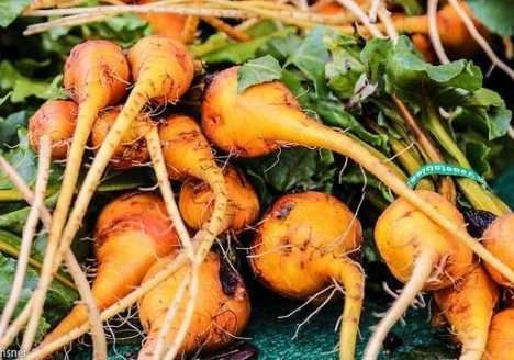 Consumidor impulsiona cultivo de alimentos associados a boas práticas