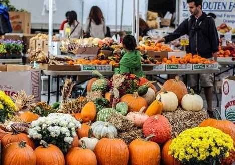 Millennials: os pais ‘orgânicos’ do futuro