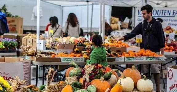 Agricultores franceses pedem ajuda em razão da queda nas vendas de alimentos orgânicos
