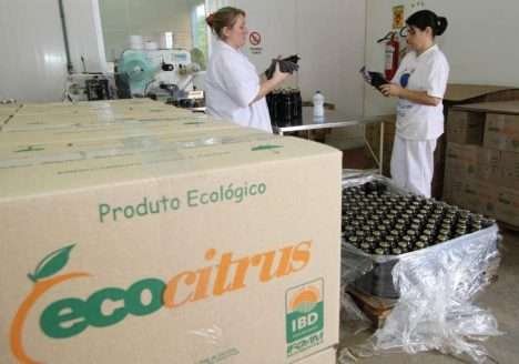 Citros orgânicos da Ecocitrus ganham mercado internacional