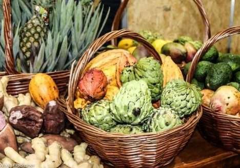 Alimentação saudável impulsiona investimento de grandes marcas no setor de orgânicos