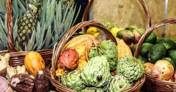 Visita internacional destaca o Programa Compra Direta Paraná como modelo de segurança alimentar