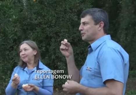 Novo Citrus e a bergamota orgânica “Pareci”