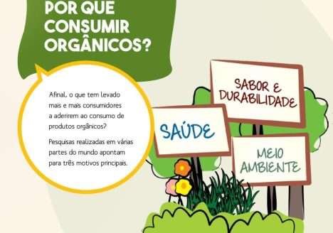 Motivos para consumir orgânicos