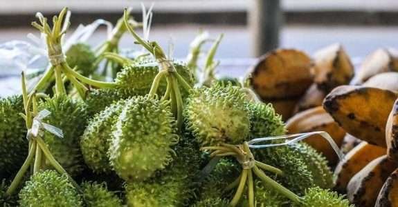 Vendas de alimentos saudáveis crescem na pandemia e produtores buscam novas estratégias