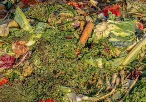 Aprenda como fazer adubo em casa usando sobras de alimentos