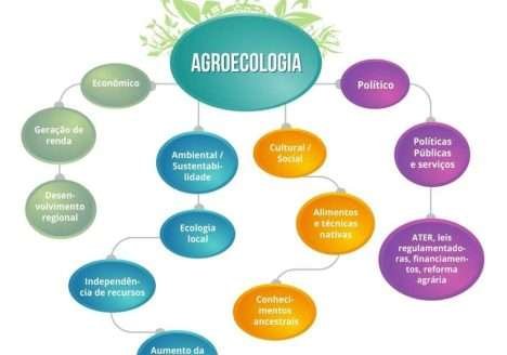 Práticas alternativas para a produção agropecuária agroecológica