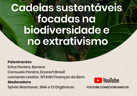 Investimentos de impacto e sociobiodiversidade beneficiam a Amazônia sustentável