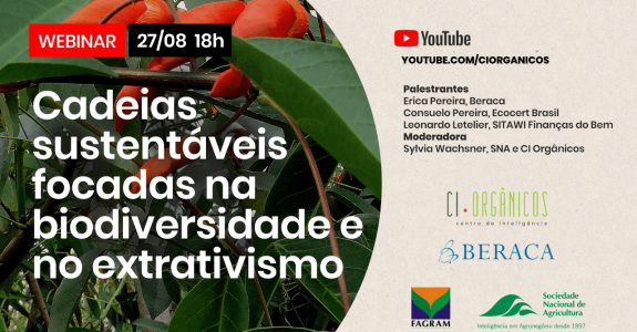 Webinar debate cadeias sustentáveis com foco na biodiversidade e no extrativismo