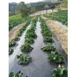 organicsnet-korin-alimentos-4155476303_1c234d3b3d_o