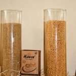 organicsnet-korin-alimentos-4721445631_f7b080481b_z