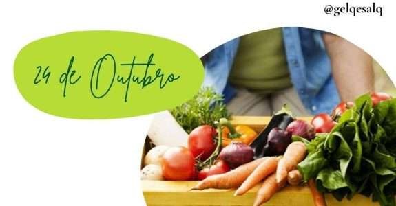 Comercialização e agregação de valor em produtos orgânicos: on-line