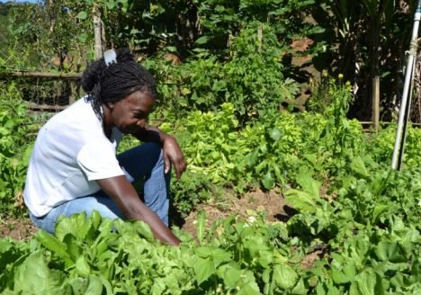 Participação feminina na agricultura familiar atinge 80% em comparação à masculina