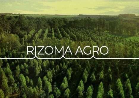SNA participa de mesa-redonda sobre Economia Verde