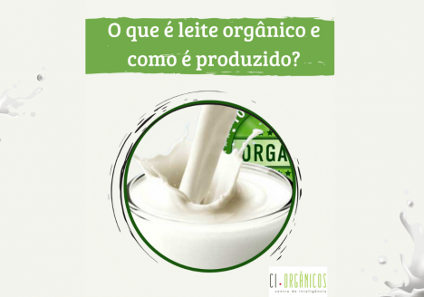 Como o produtor de leite convencional vê a produção orgânica
