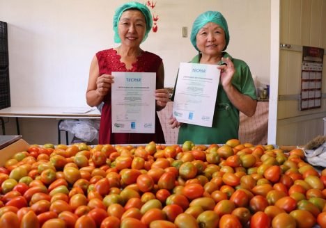 Tecpar chega a 700 certificações concedidas pelo Paraná Mais Orgânico