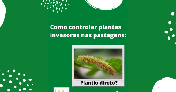 Como é feita a retirada de plantas invasoras nas pastagens orgânicas?
