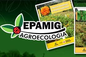 Práticas agroecológicas para o manejo de doenças de plantas