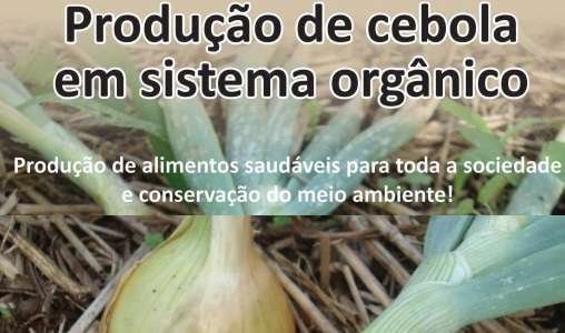 Epagri publica cartilha sobre produção de cebola em sistema orgânico
