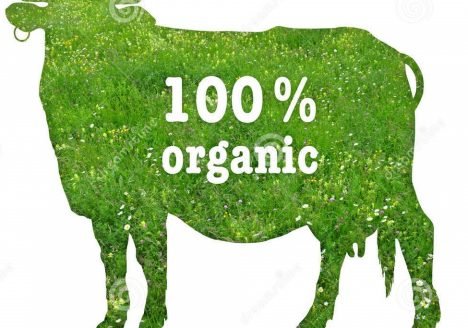 Carne orgânica tem menos risco de contaminação por bactérias resistentes