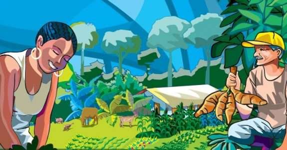 Soberania alimentar: Biodiversidade, cultura e relações de gênero