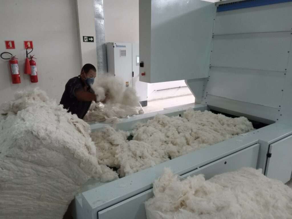 algod&atilde;o organico