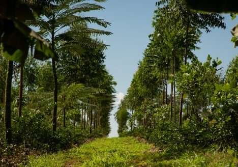 Empresas B lideram movimento para propagar práticas mais sustentáveis na produção de alimentos.