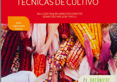 Manual de Milho Orgânico: para técnicos