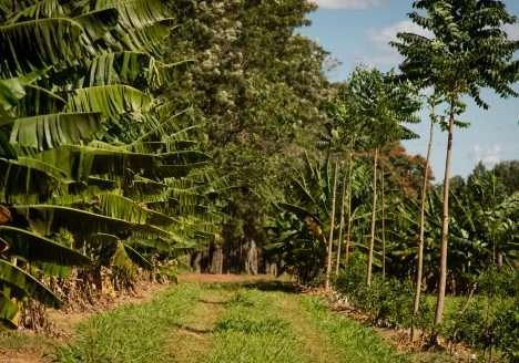Uso de tecnologia no agro.